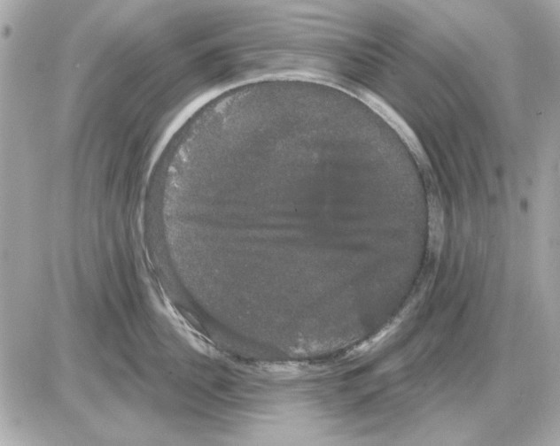 X0000085220956200704091928