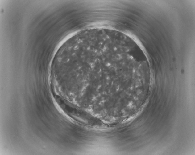 X0000085220957200704091928