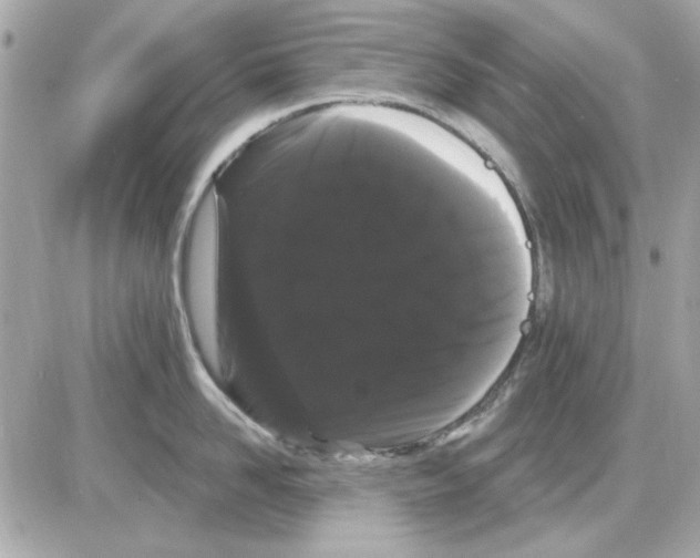 X0000085220958200704091928