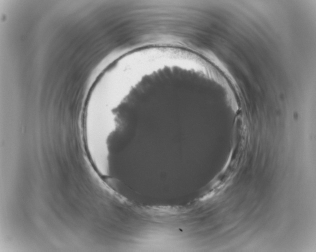 X0000085220959200704091928