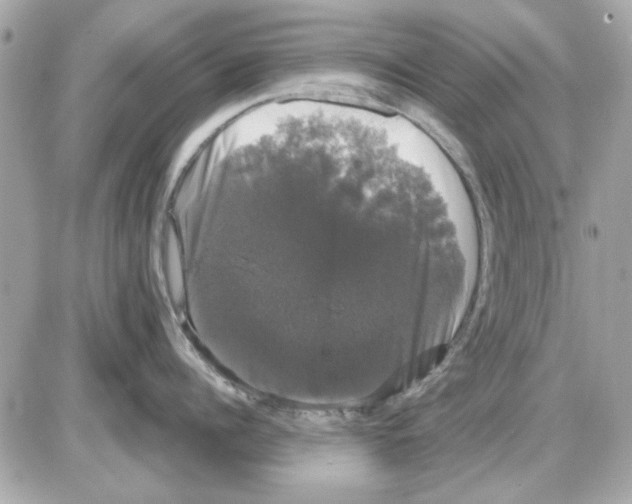 X0000085220960200704091928