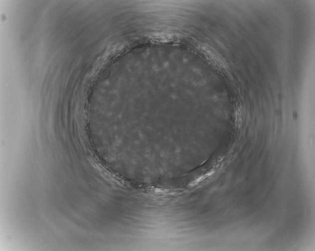 X0000085220961200704091928