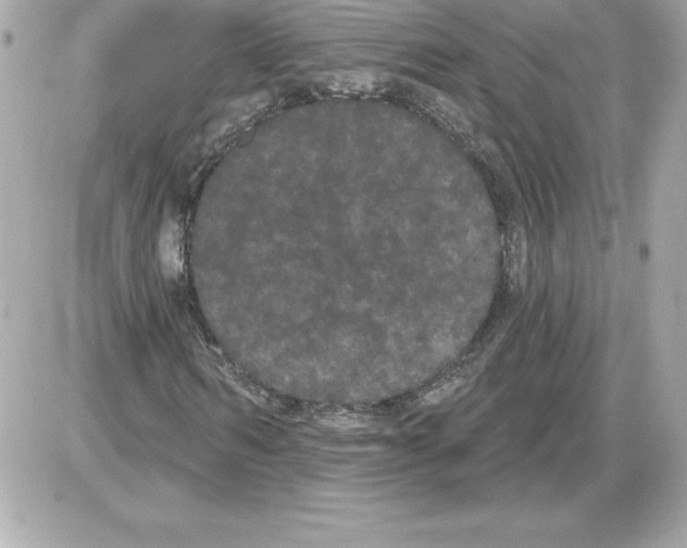 X0000085220962200704091928