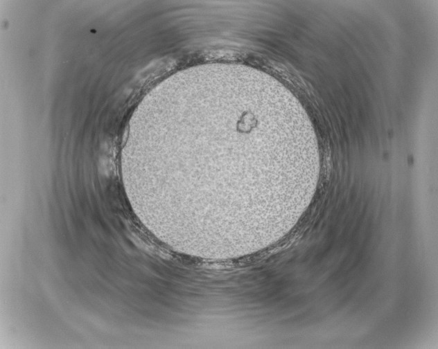 X0000085220964200704091928