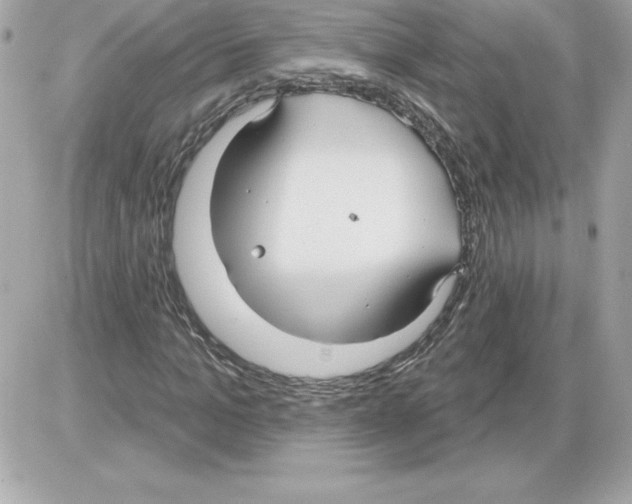 X0000085220965200704091928