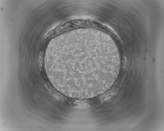 X0000085220967200704091928