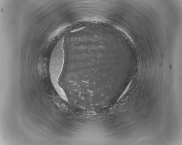 X0000085220968200704091928