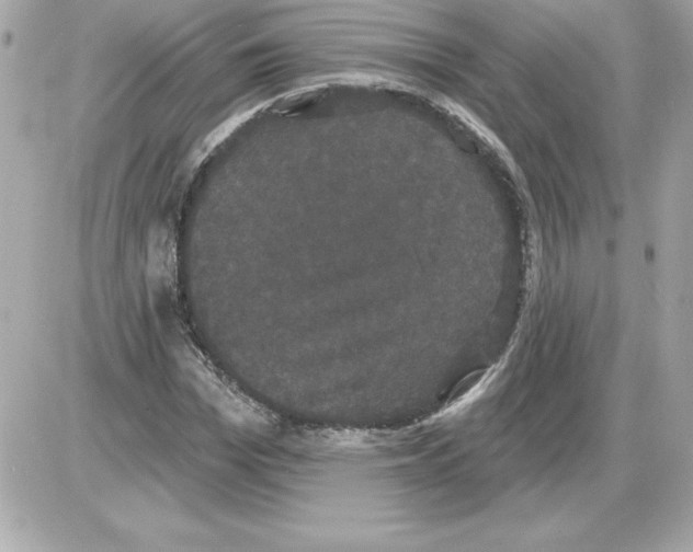 X0000085220969200704091927