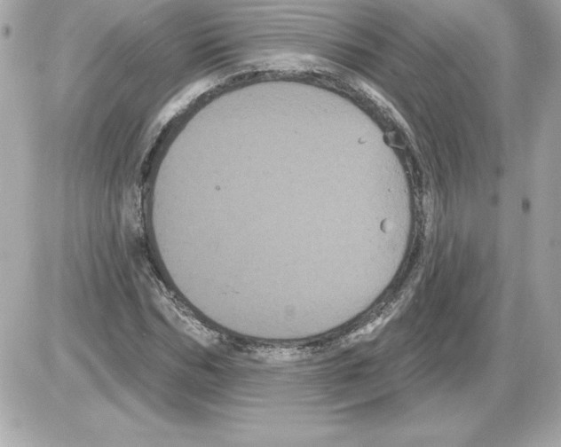 X0000085220970200704091927