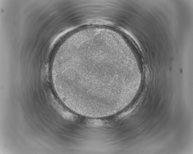 X0000085220971200704091927