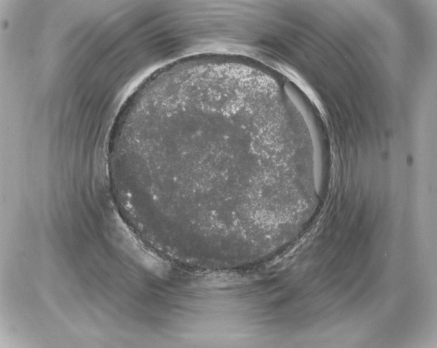 X0000085220972200704091927