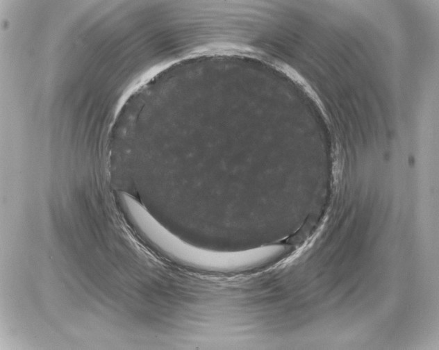 X0000085220973200704091927