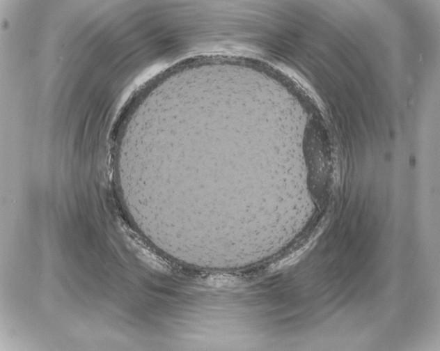 X0000085220974200704091927