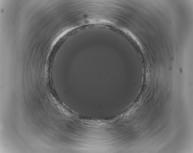 X0000085220975200704091927