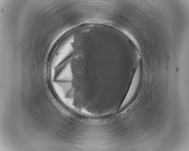 X0000085220976200704091927