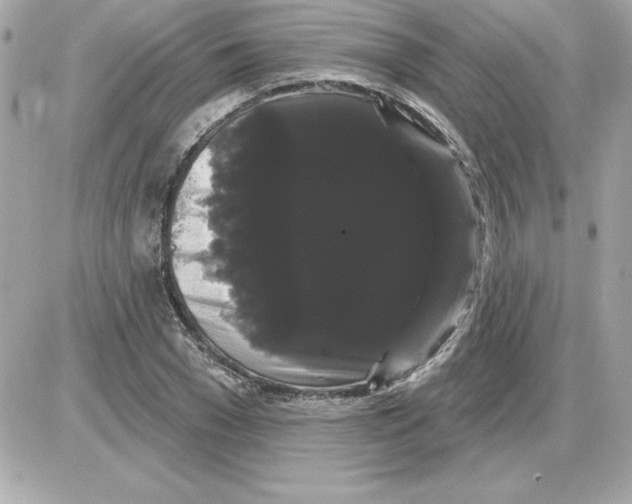 X0000085220977200704091927