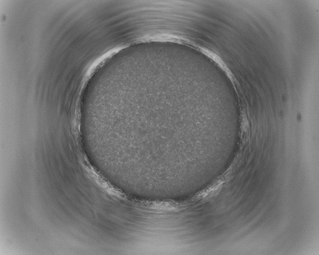 X0000085220979200704091927