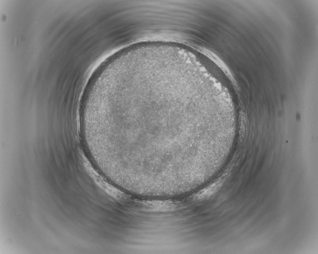 X0000085220980200704091927