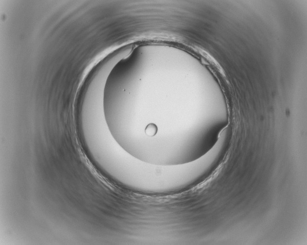 X0000085220981200704091927