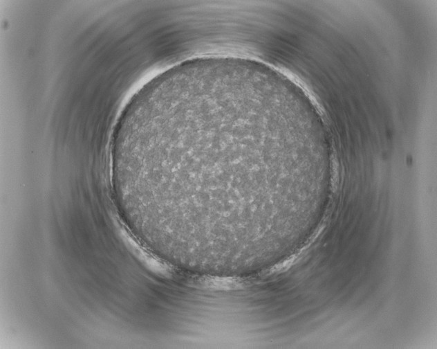 X0000085220982200704091927