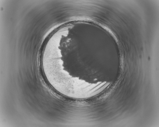 X0000085220983200704091927