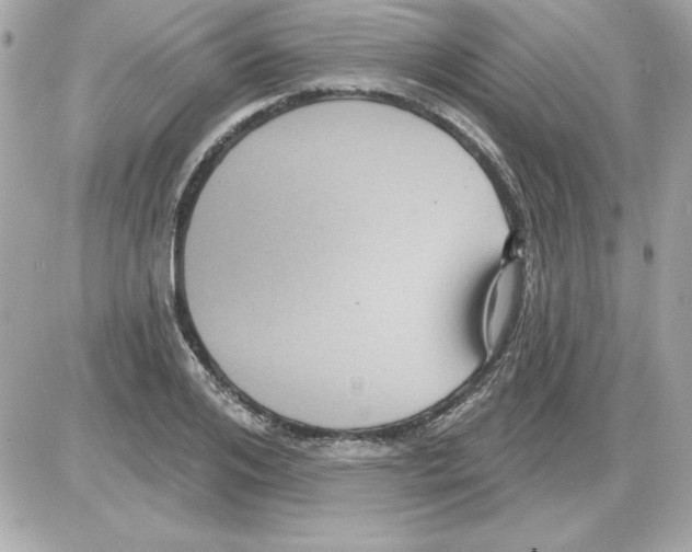 X0000085220984200704091927