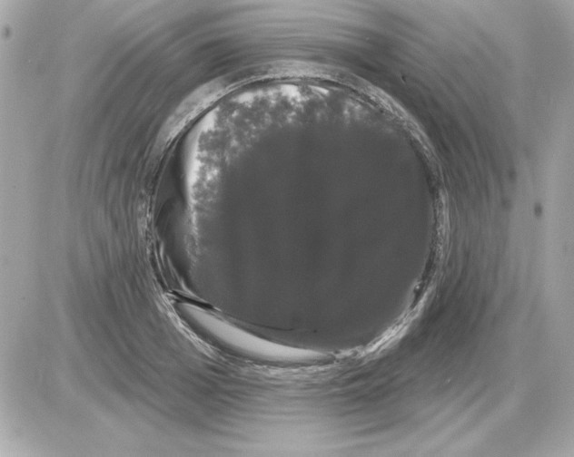 X0000085220985200704091927