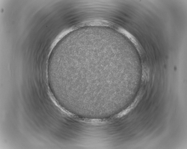 X0000085220986200704091927