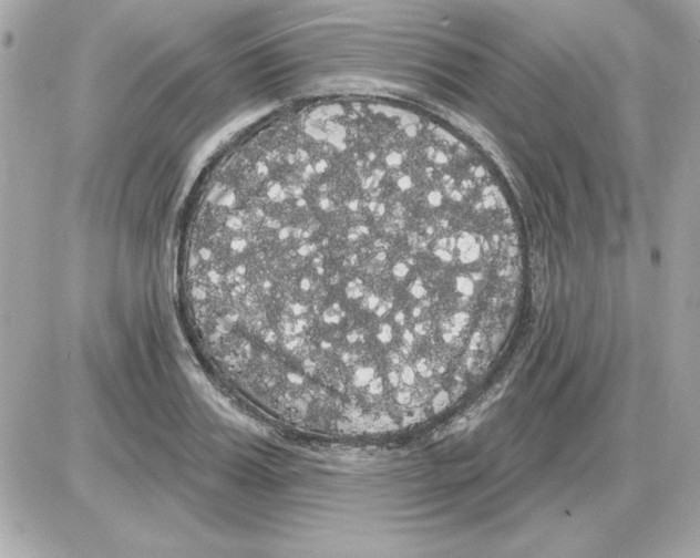 X0000085220987200704091927