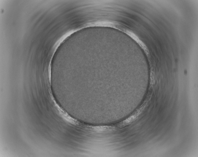 X0000085220988200704091927