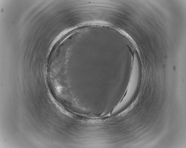 X0000085220989200704091927