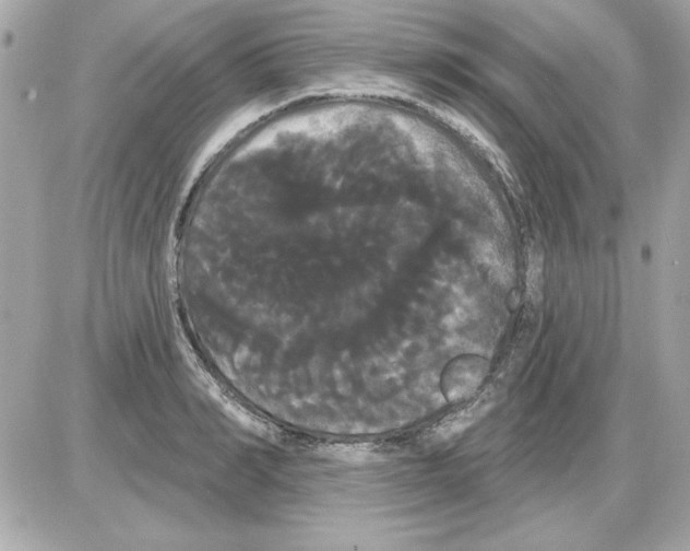 X0000085220990200704091927