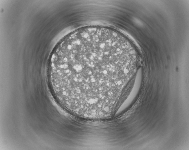 X0000085220991200704091927