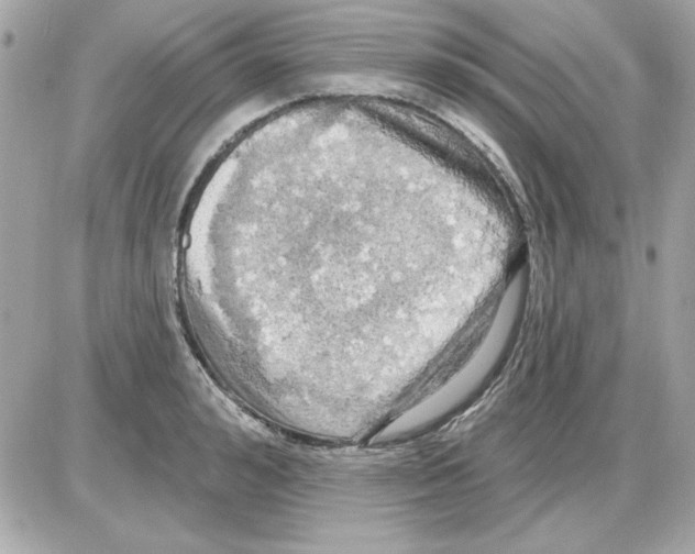 X0000085220992200704091927