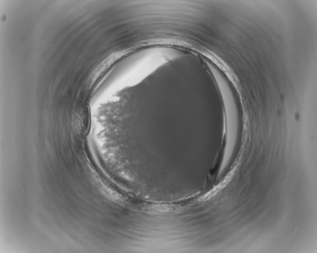 X0000085220993200704091927