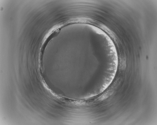 X0000085220994200704091927