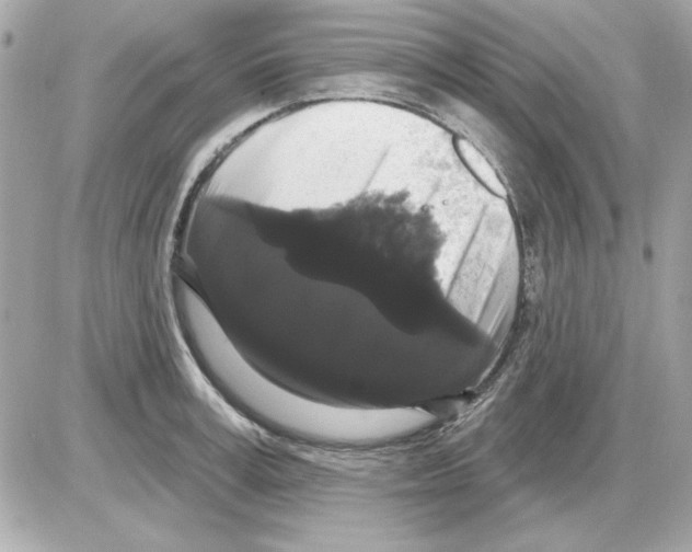 X0000085220995200704091927