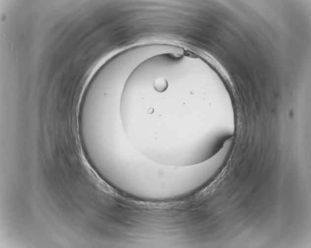 X0000085220996200704091927