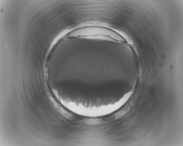 X0000085220998200704091927