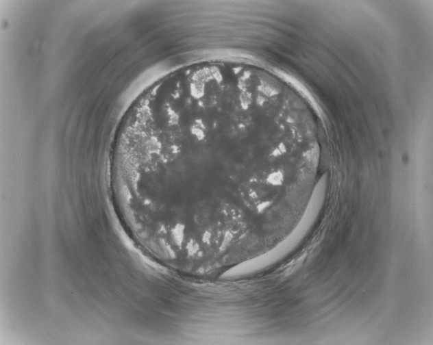 X0000085220999200704091927