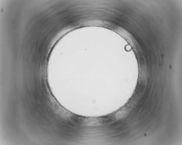 X0000085221000200704091927