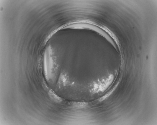 X0000085221001200704091927