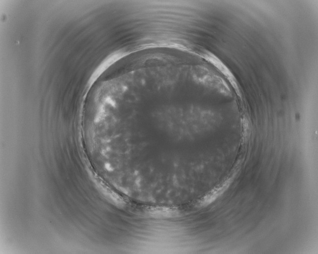 X0000085221002200704091927