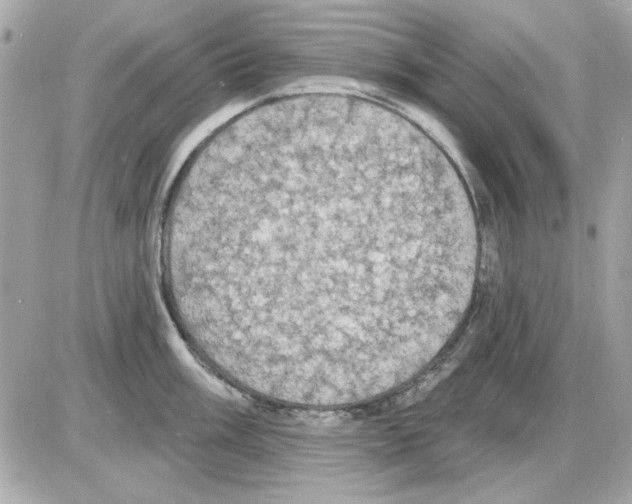 X0000085221003200704091927