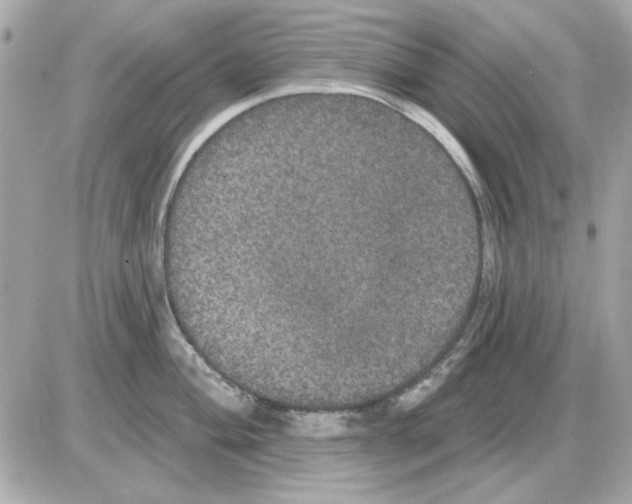 X0000085221004200704091927