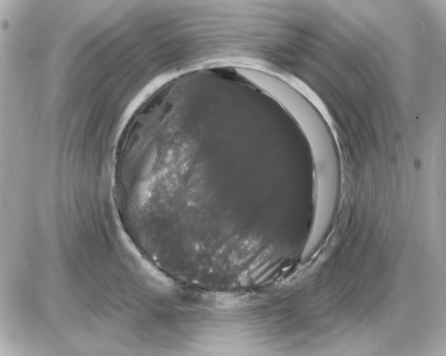 X0000085221005200704091927