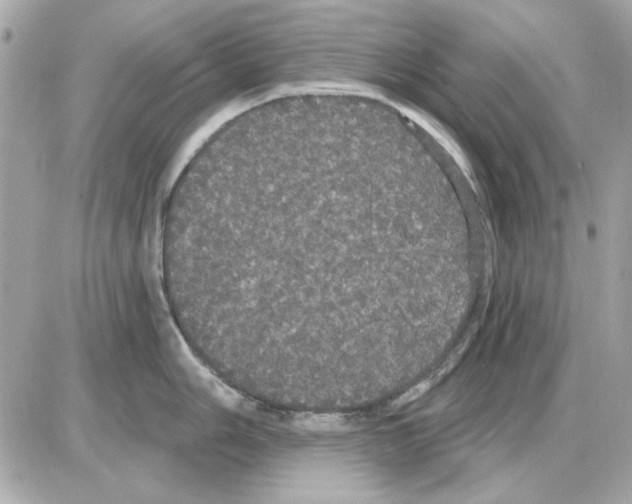 X0000085221006200704091927