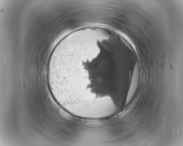 X0000085221007200704091927