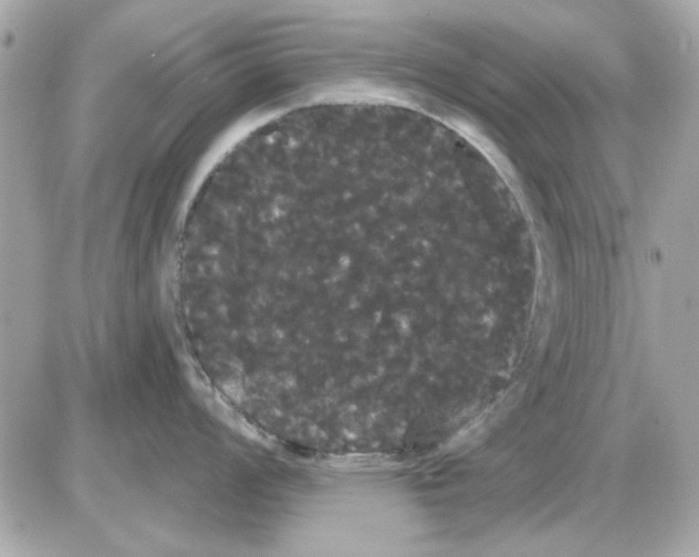 X0000085221008200704091927