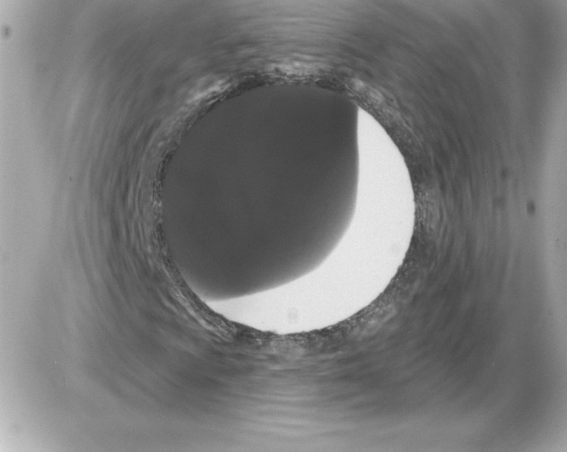 X0000085221009200704091926